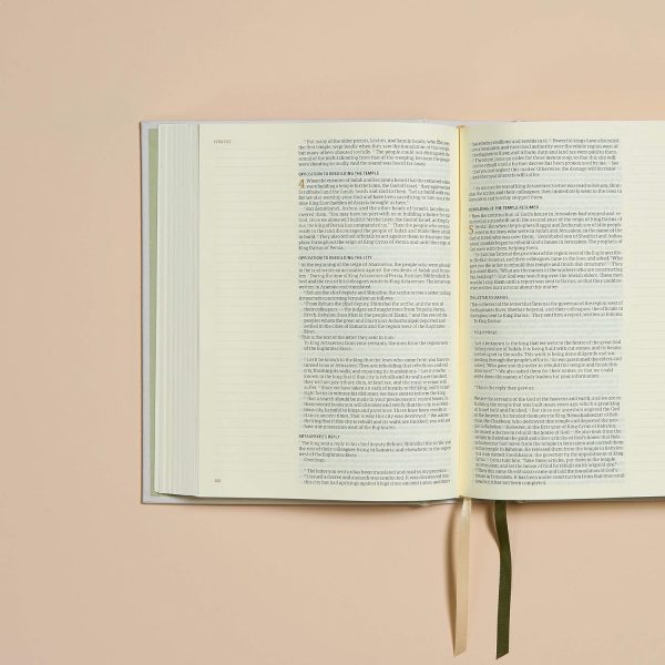 CSB Notetaking Bible, Hosanna Revival Edition, Lemons For Sale - Image 3