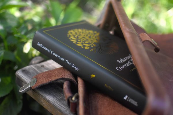 Reformed Covenant Theology: A Systematic Introduction For Sale - Image 4