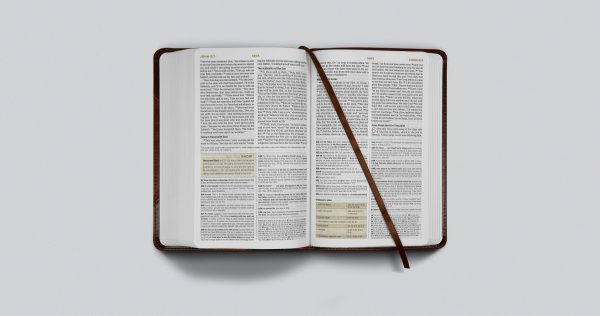 ESV Student Study Bible (Trutone, Brown Cordovan, Portfolio Design) For Sale - Image 4
