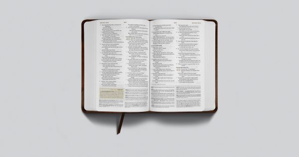 ESV Student Study Bible (Trutone, Brown Cordovan, Portfolio Design) For Sale - Image 3