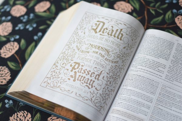 ESV Women s Study Bible (Cloth Over Board, Dark Teal) Online now - Image 4