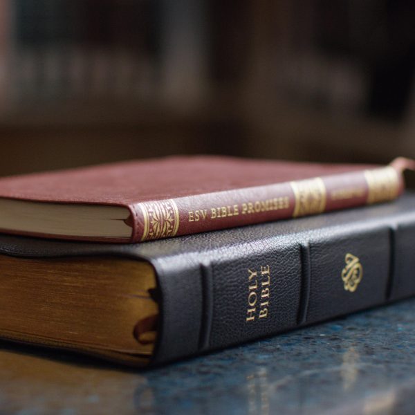 ESV Bible Promises: 700 Passages to Strengthen Your Faith (Trutone, Brown) For Cheap - Image 4